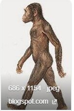 Australopitheus