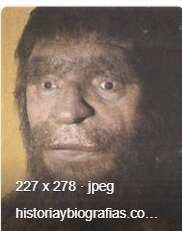 Homo Neanderthalensis
