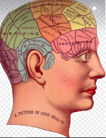 1. Ciencias del comportamiento