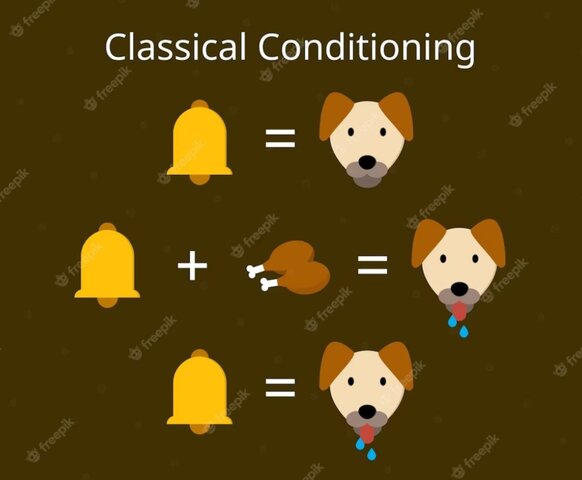 Condicionamiento clásico