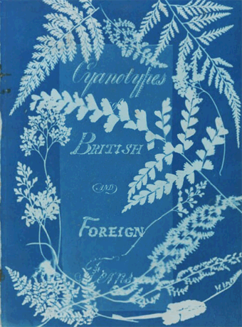 Primer libro de fotografias