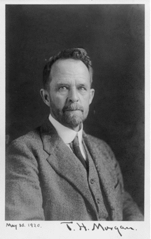 Confirmación de la teoría cromosómica de la herencia