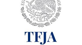 Timeline: Tribunal Federal de Justicia Administrativa EQUIPO 2