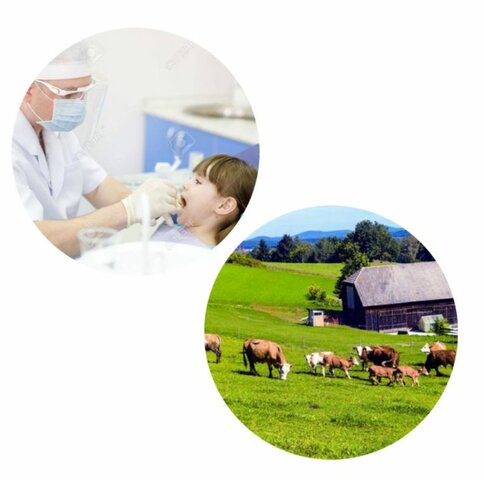 María Eugenia Mayorga - Niñez