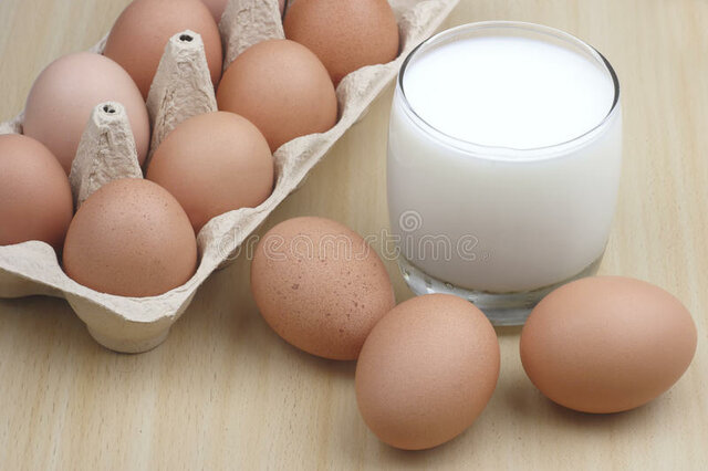 Alimentación de Sergia