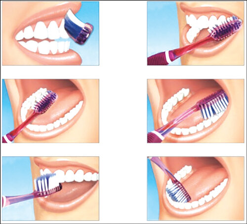 Actualidad de la señora Ana