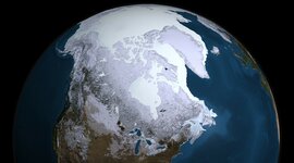 Timeline: Historia de la Tierra