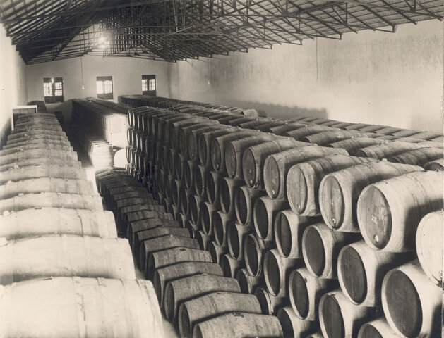 Popularización de las bodegas españolas