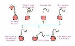 Experiments de Pasteur.
