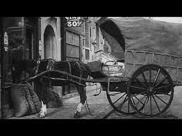 The horse that bolted