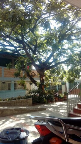 PRIMEROS TITULOS DE BACHILLER