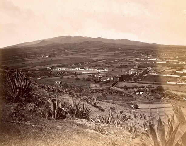 La Laguna es designada capital de la provincia de Canarias