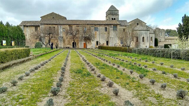 Van Gogh ingressa en un hospital psiquiàtric