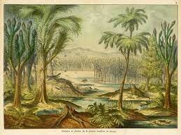 periodo carbonífero