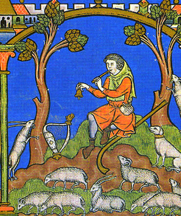 Creación de la mesta