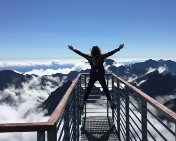 Teoría del refuerzo