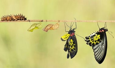 Nacimiento del Marketing: