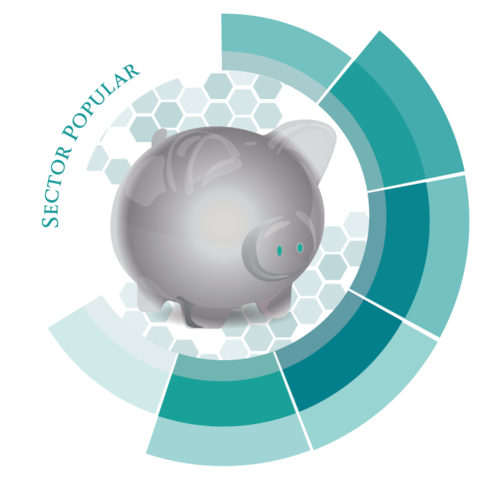 Proyecto de Reorganización del Sector Popular.