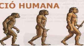 Timeline: Procés d'humanització