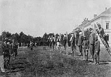 Victòria de Sèrbia sobre Àustria-Hongria  (que abandona Sèrbia)