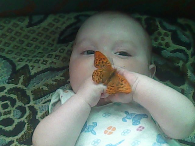 Акции протеста беременных женщин в России в защиту своих прав