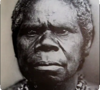Indigenous Australians in 2001