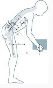 Fisiología del trabajo