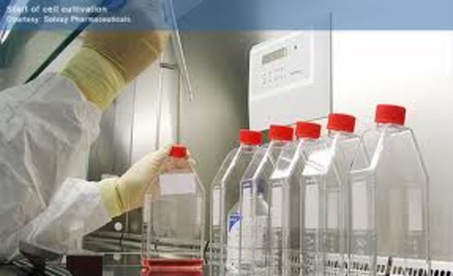 GSK recieves starin H1N1 virus