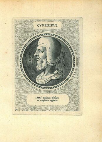 Cynaegirus