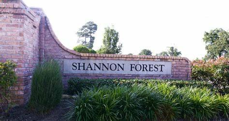 I started school at Shannon