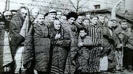 Timeline: Holocaust