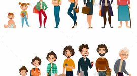 Timeline: Etapas de la vida