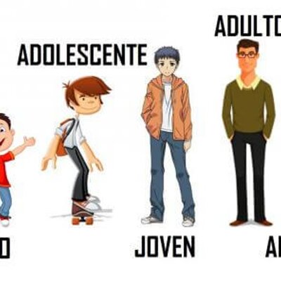 Timeline: etapas de la vida