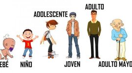 Timeline: etapas de la vida