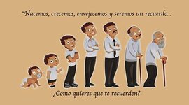 Timeline: Las etapas de la vida.