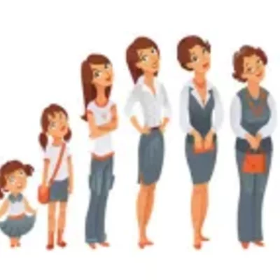 Timeline: Etapas de la vida