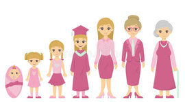 Timeline: Etapas de la vida naturales