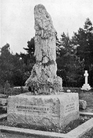 Death of Alfred Wallace