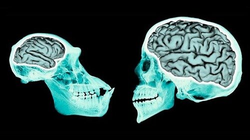 Dax Auburtin - Trastornos causados por lesiones