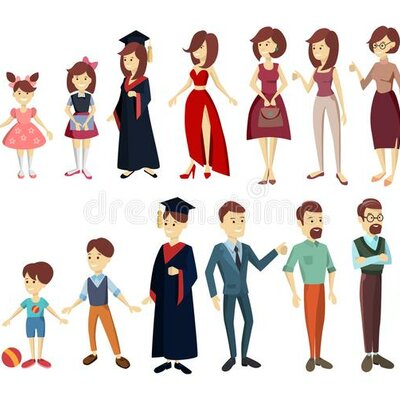 Timeline: Etapas de la vida