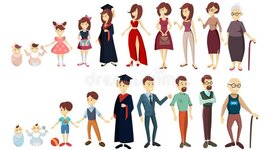 Timeline: Etapas de la vida