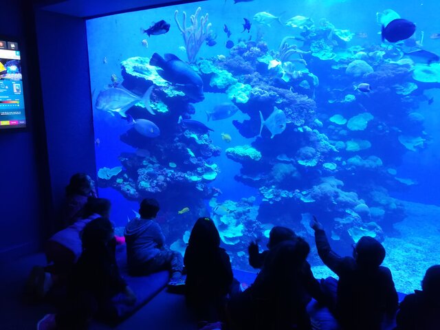 LA MEVA PRIMERA EXCURSIÓ A PRIMÀRIA