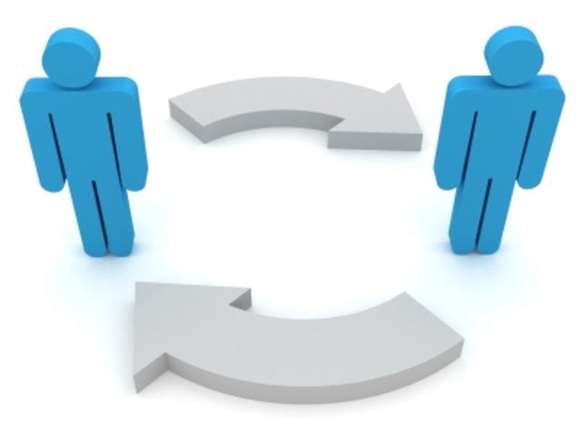 Organización de equipo