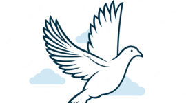 Timeline: GC Project