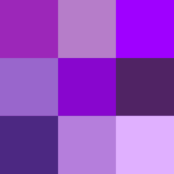 Inicio de Construcción del Colegio de Santa Cruz Tlatelolco