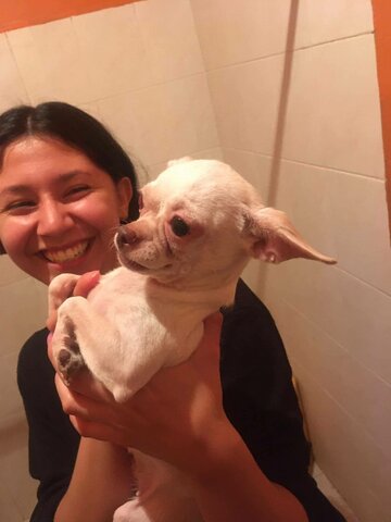 Rescaté a mi mascota.