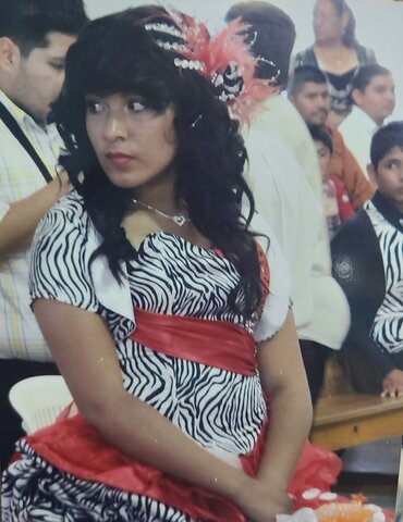 Mis controverciales xv años