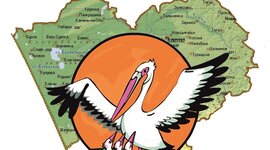 Timeline: Педагогический дебют - 2024