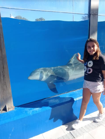 EXCURCIÓ A MARINEL LAND