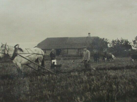 Sõjajärgne maareform jõuab lõpule
